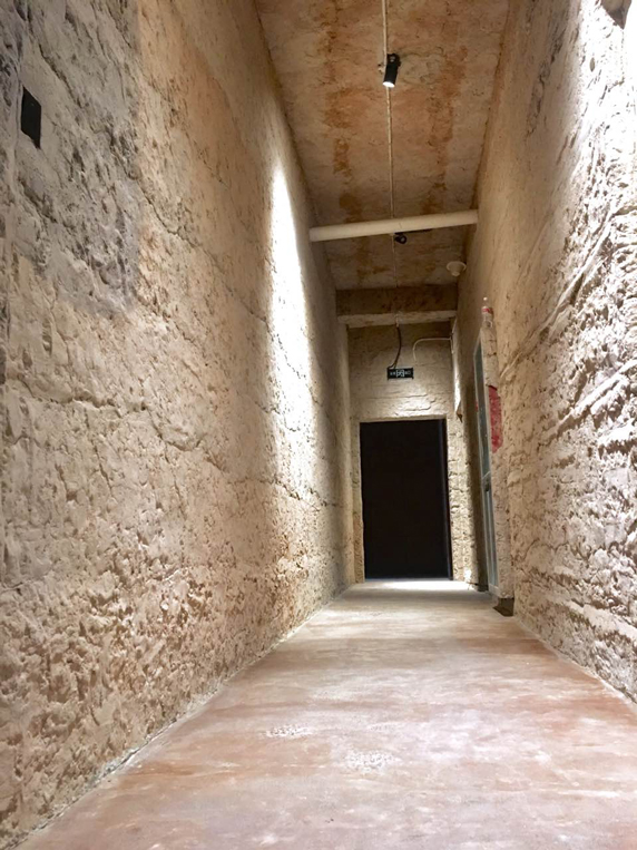 成人抖音网站会所91抖音免费视频下载墙