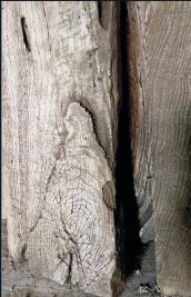 成人抖音网站水泥防腐木 水泥仿木