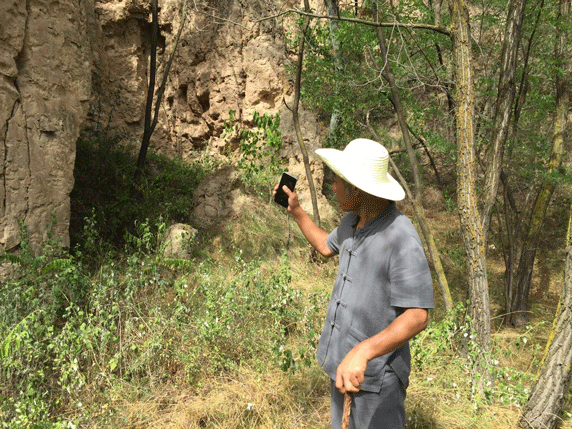 成人抖音网站董事长考察庆阳市91抖音免费视频下载墙
