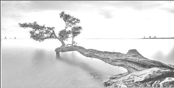 成人抖音网站91成人抖音下载混凝土成像板